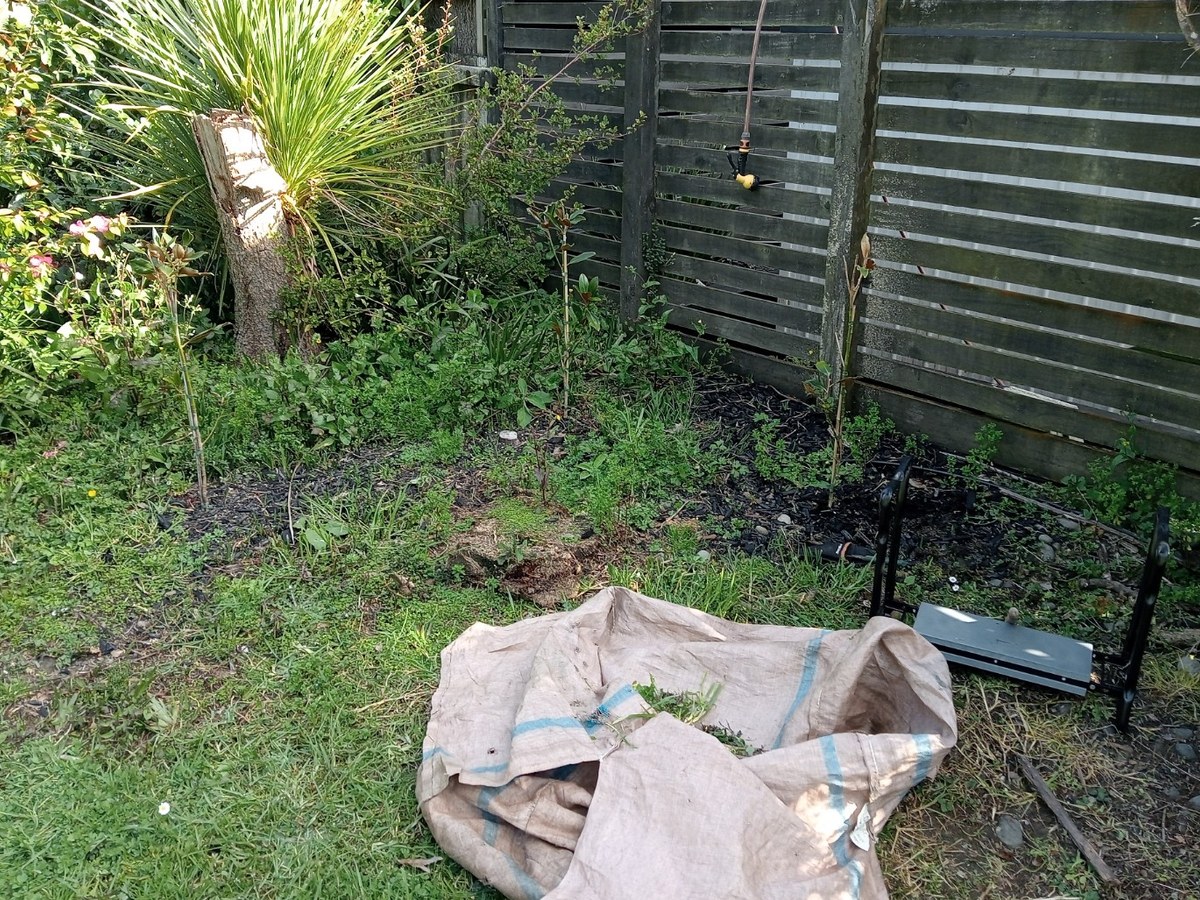 Garden bed before cleanup and mulch refresh